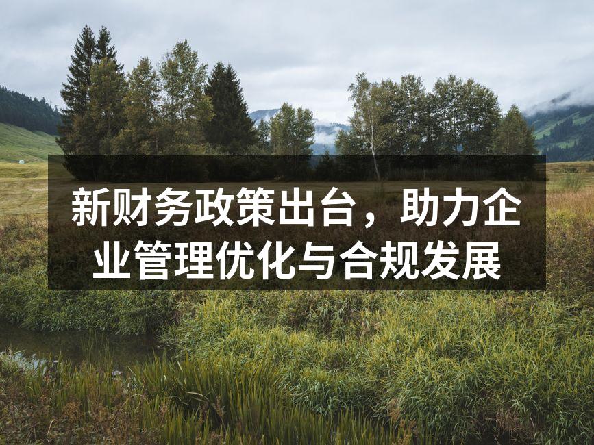 新财务政策出台，助力企业管理优化与合规发