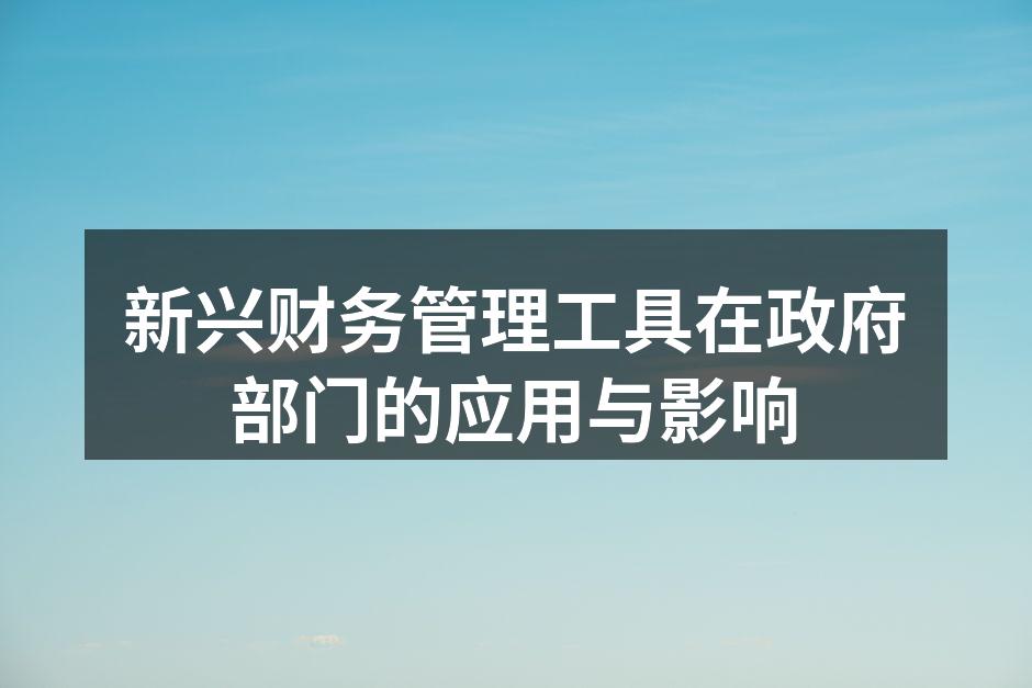 新兴财务管理工具在政府部门的应用与影响