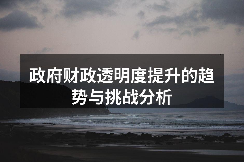 政府财政透明度提升的趋势与挑战分析
